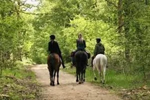 Équitation / balade à cheval